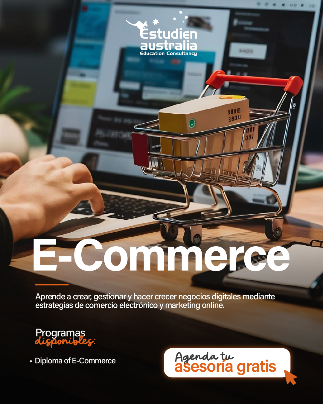 Programas de Estudio en el Extranjero